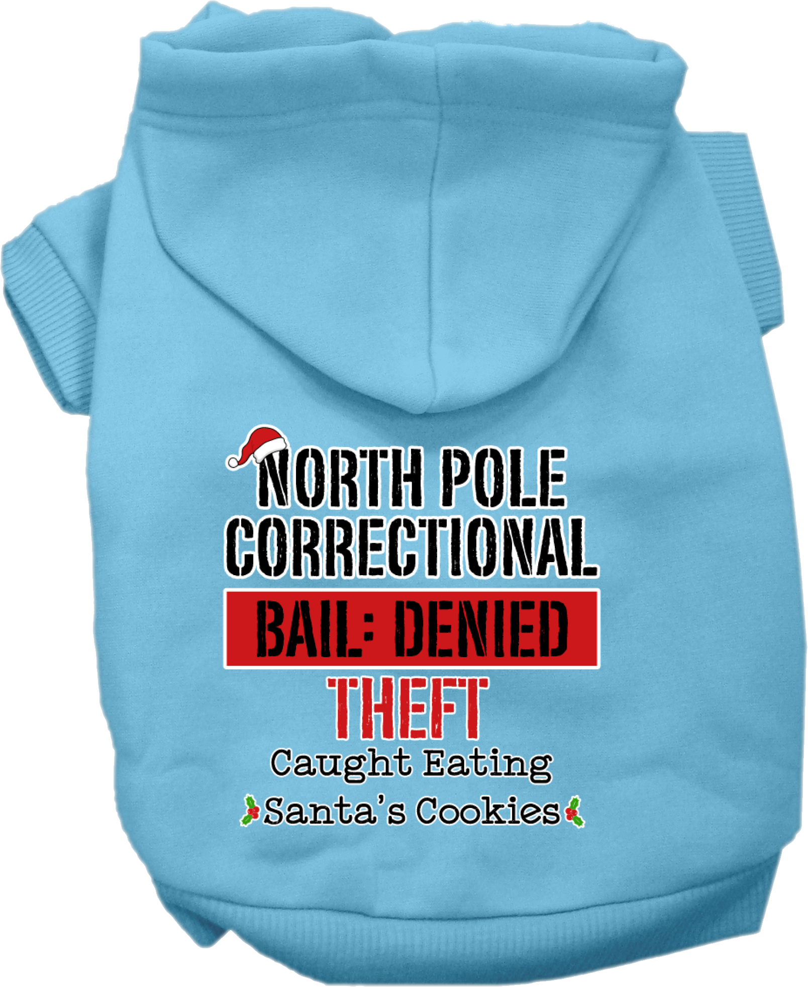 North Pole Correctional Screen Print Dog Hoodie Baby Blue Size XS